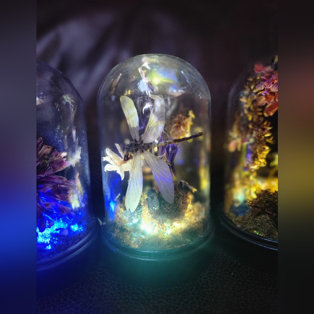 Handmade bugs and flowers night light